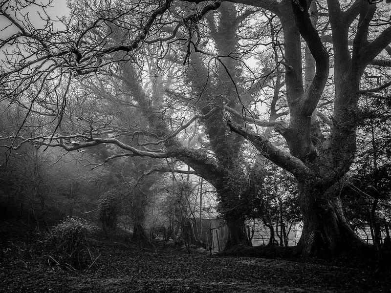 Hayward Global Connect Translation - Gallery image