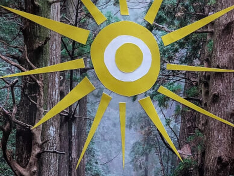 Vision Board Creation Workshop for Team Inspiration and Goal Setting - Gallery image