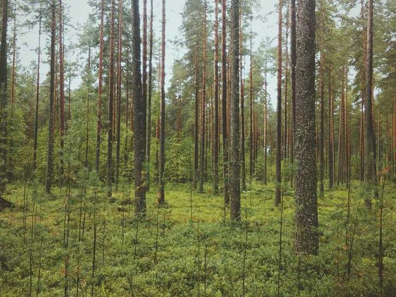 Orange Corporate Shuttle Solutions - Gallery image