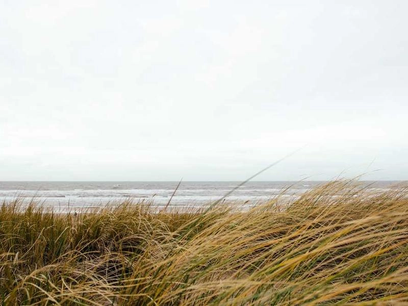 Sunnyvale Synergy Circuit - Featured image