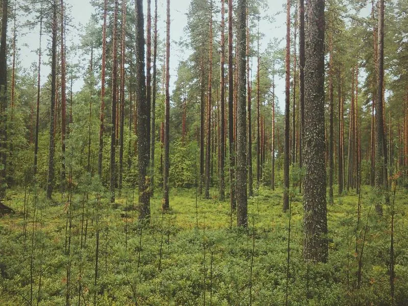 Pleasant Hill Corporate Venue Collective - Gallery image