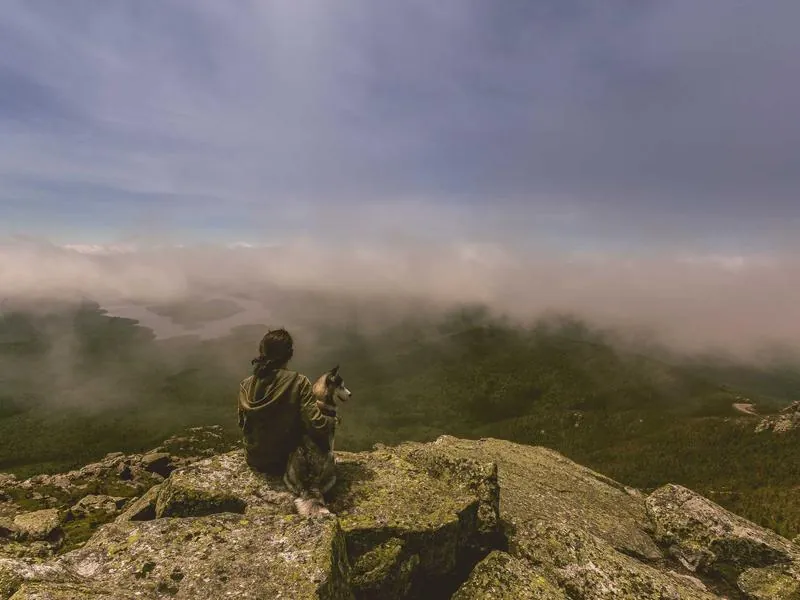 Chicago Virtual Team Escape - Gallery image