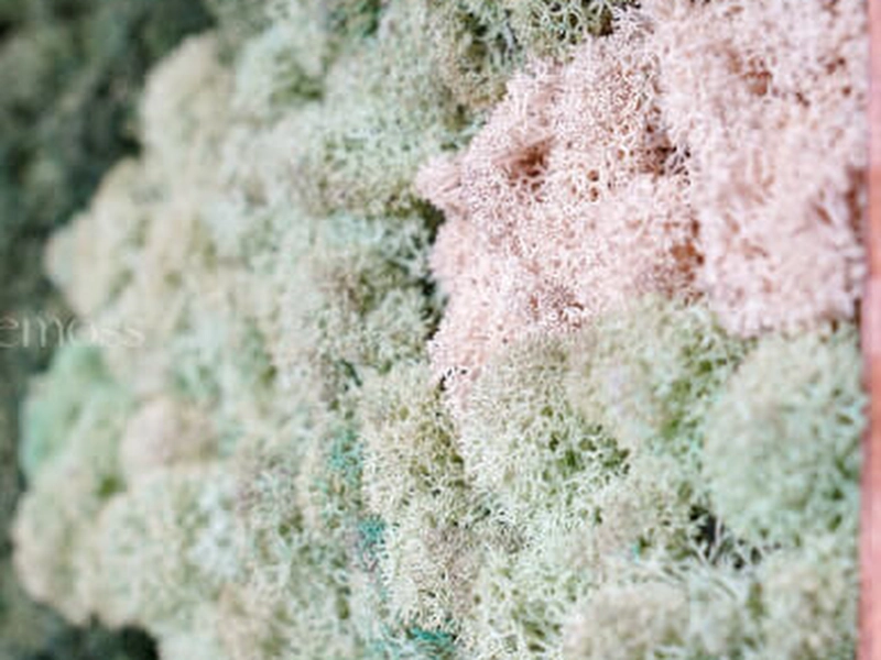 Moss Wall Art Creation Workshop for Team Building - Gallery image