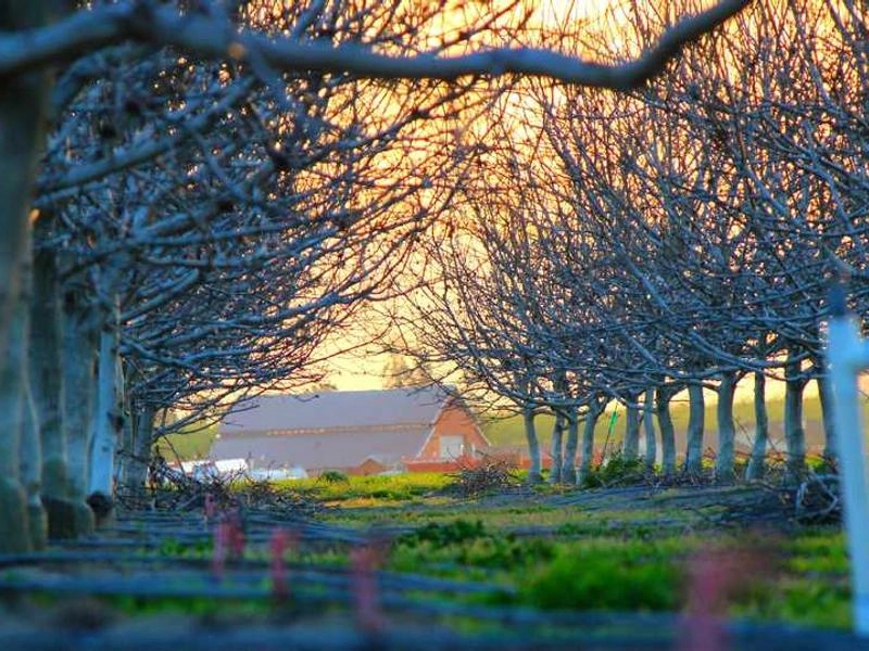 Executive Coach Services - Gallery image