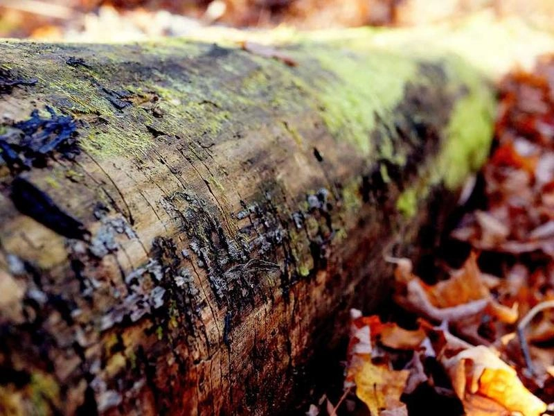 Downey Corporate Visuals - Featured image