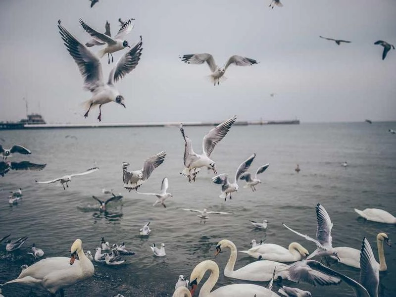 Daly City Corporate Bites & Boards - Featured image