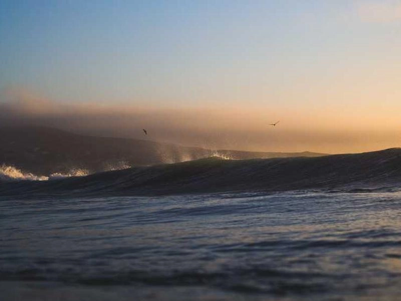 Rialto Corporate Kits & Supplies - Featured image