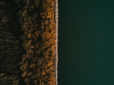 Food Experience Catering in Council Bluffs - Featured