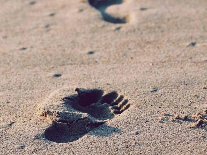 Signal Hill Summit Visuals - Gallery image