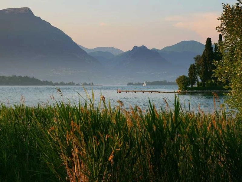 Carson Global Interpreters - Featured image