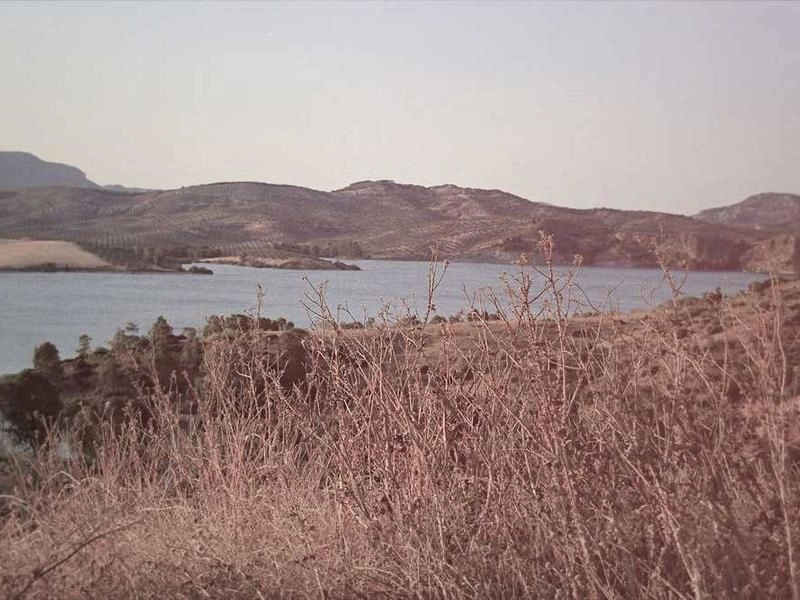 Laguna Beach Coastal Event Staffing - Gallery image