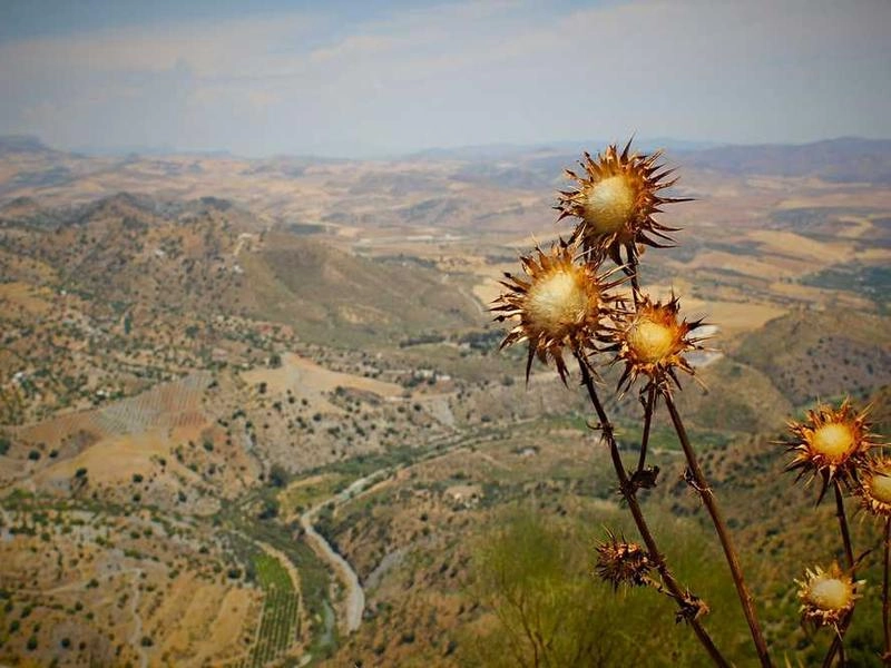 San Mateo Premier Event Staffing - Gallery image