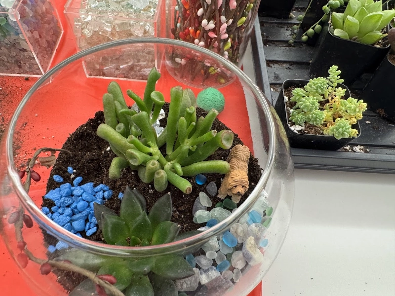 Hello - Gallery image