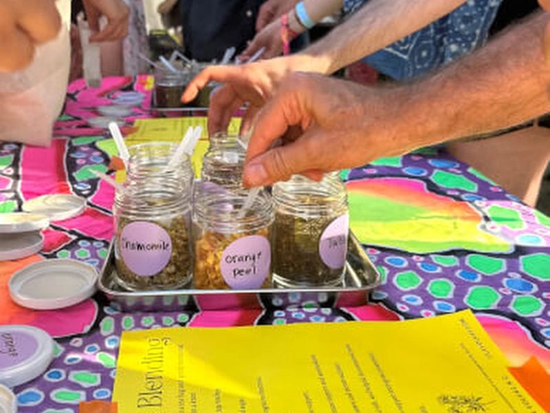 DIY Plant-Based Beverage Crafting Workshop - Featured image