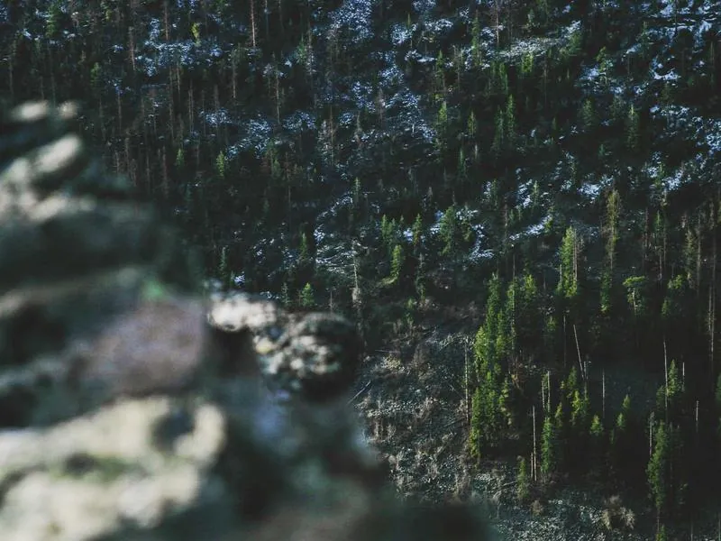 San Francisco Bay Sailing & Strategy Retreats - Gallery image