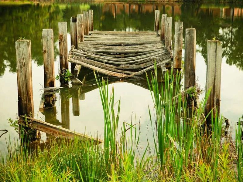 Concord Corporate Coach & Shuttle - Gallery image