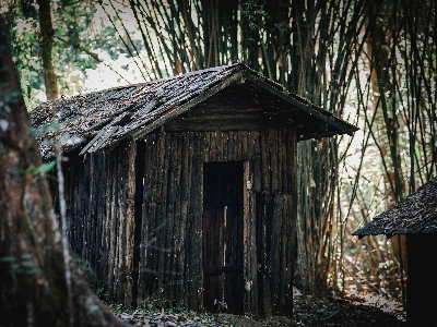 Foody Party no duration Rentals in Council Bluffs - Featured