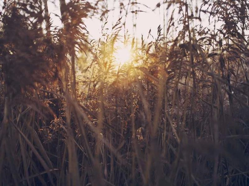 Sunnyvale Synergy Circuit - Gallery image