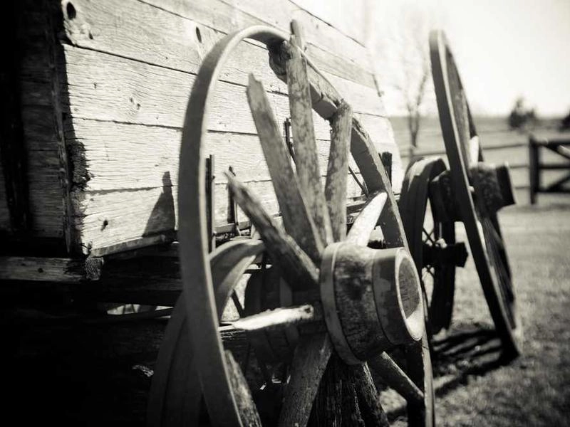 Signal Hill Summit Visuals - Gallery image