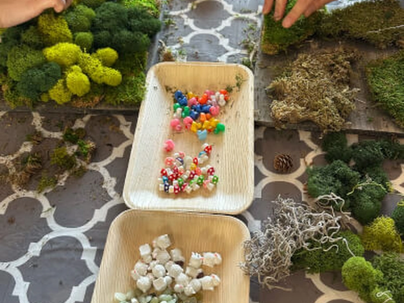 Moss Wall Art Creation Workshop for Team Building - Gallery image