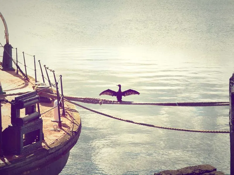 Boston Harborview Culinary Experiences - Gallery image