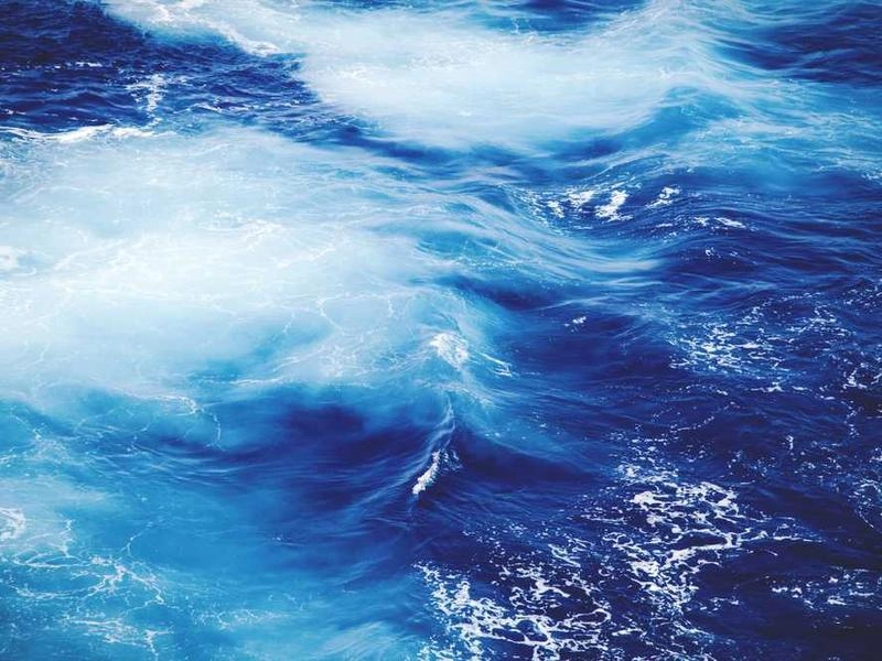 South San Francisco Biotech Bites Catering - Featured image