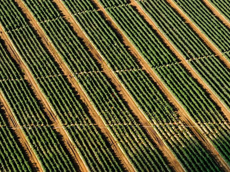 San Leandro Corporate DJ - Gallery image