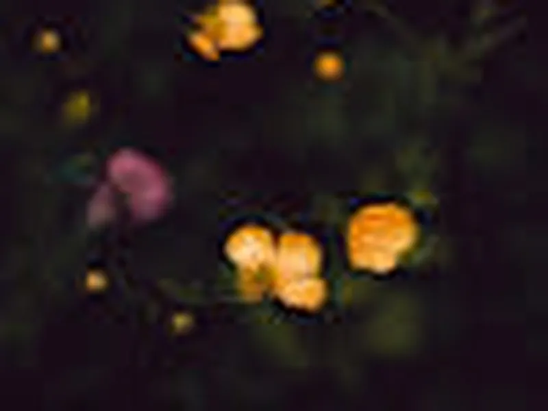 Studio by Tishman Speyer Beautiful Professional Multipurpose Room - Studio at Mission Rock - Gallery image