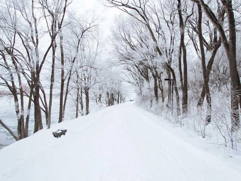 San Francisco Tech District Catering Co. - Gallery image