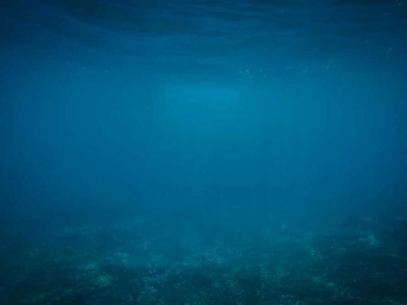 Camarillo Corporate Entertainment Collective - Gallery image