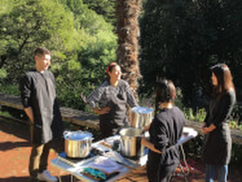 Natural Dyeing Workshop: Create with Plant-Based Colors - Gallery image