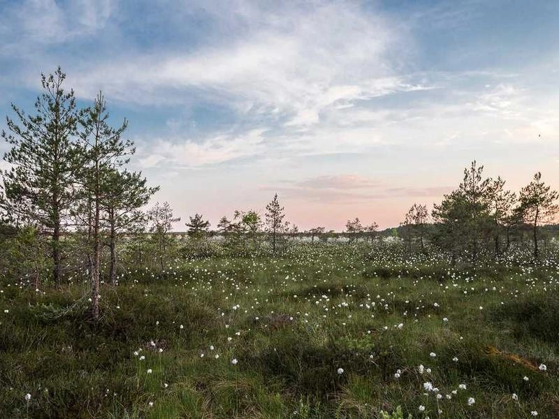 San Francisco Post-Event Clean Team - Gallery image