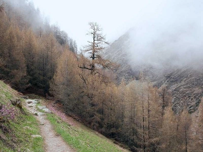 Cerritos Corporate Visuals Photography - Featured