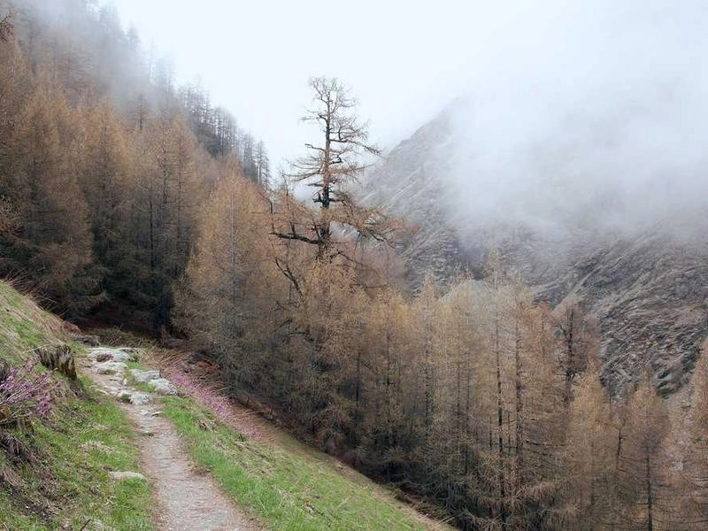 Cerritos Corporate Visuals - Featured image