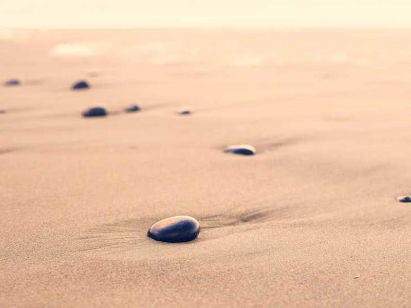 Palmdale Corporate Entertainment Collective - Gallery image