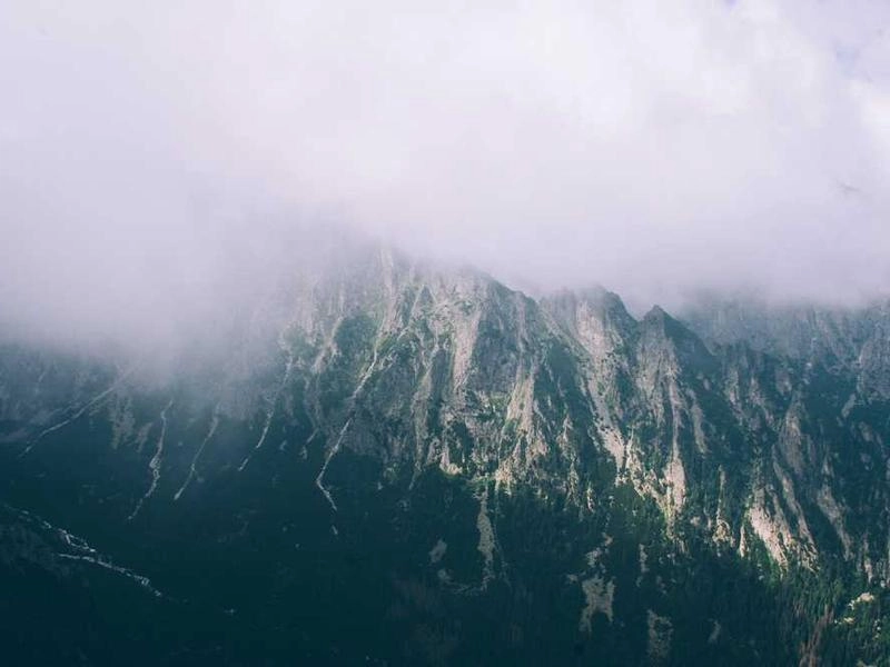 West Hollywood Artisan Bites & Bars - Gallery image