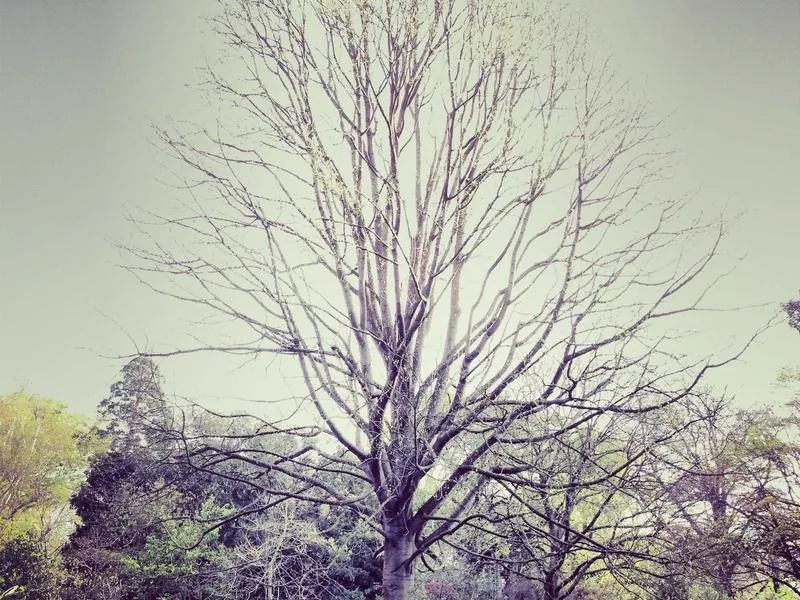 Redwood City Corporate DJ - Featured image