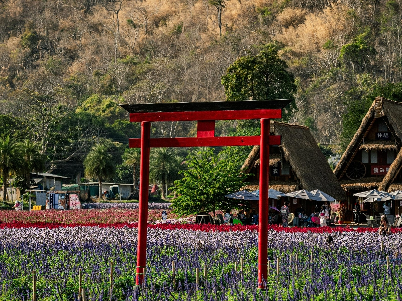 Venue service - Gallery image