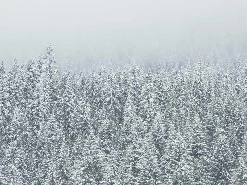 Watsonville Corporate Entertainment Collective - Gallery image