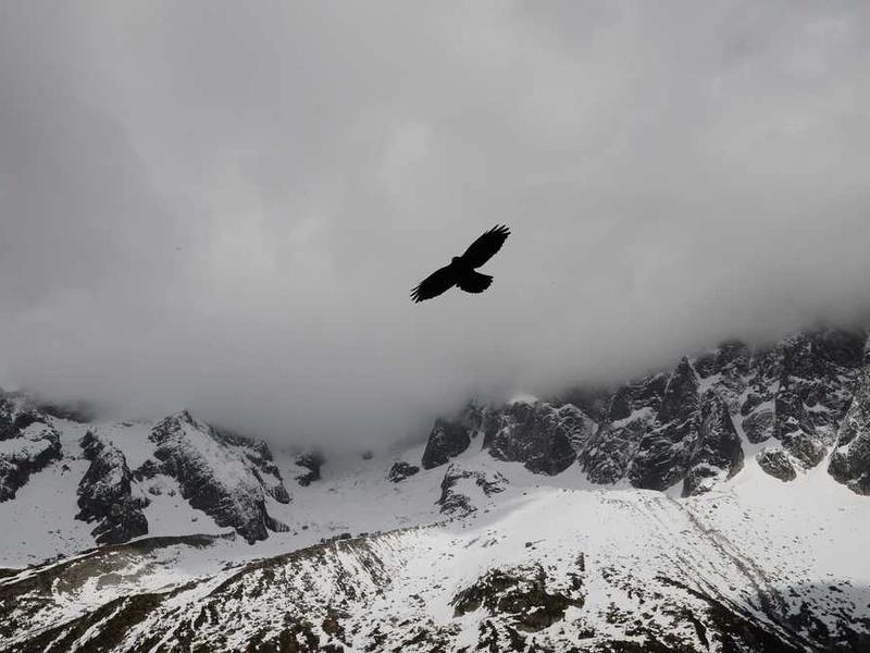 Laguna Niguel Corporate Event Staffing - Gallery image