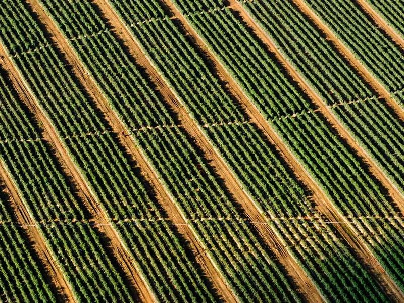 Capitola Corporate AV & Staging - Gallery image