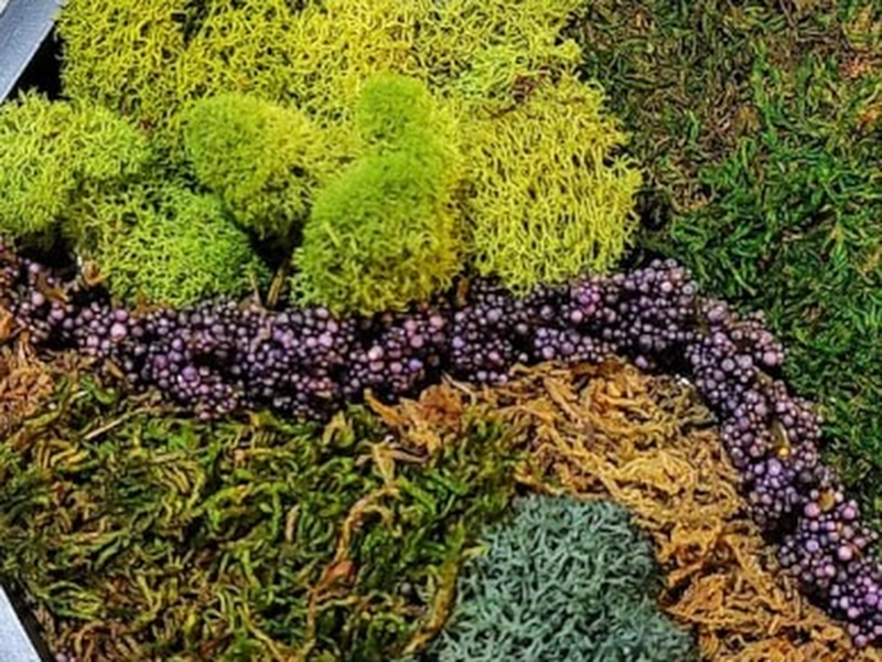 Moss Wall Art Creation Workshop for Team Building - Gallery image