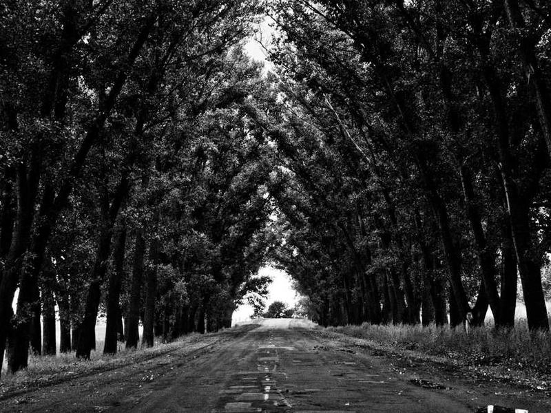 Richmond Corporate Visuals - Gallery image