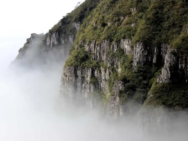 Phoenix Virtual Team Adventure - Featured image