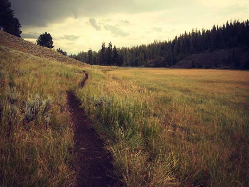 Redwood City Precision AV Support - Gallery image