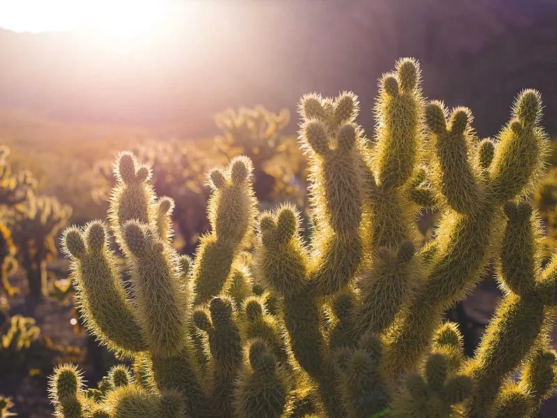 Antioch Corporate DJ - Gallery image