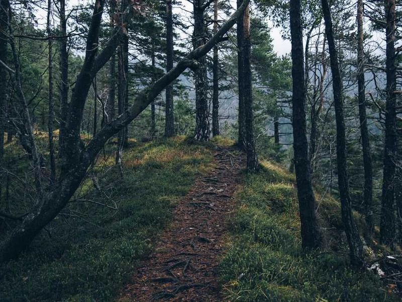 Orange Corporate Transit Solutions - Featured image