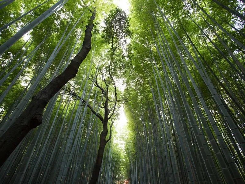 San Francisco Corporate DJ - Gallery image