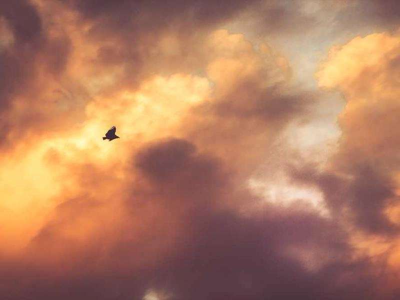 Richmond Corporate Shuttle Services - Gallery image