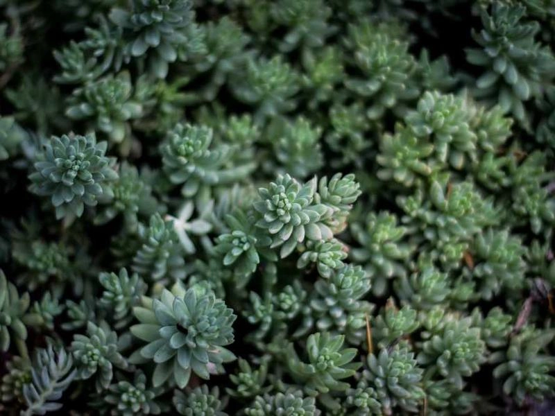 Palmdale Corporate Entertainment Collective - Gallery image